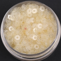 白片圆片3毫米